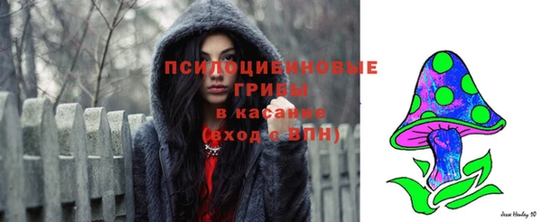 крисы Верхний Тагил