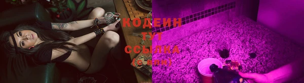 крисы Верхний Тагил