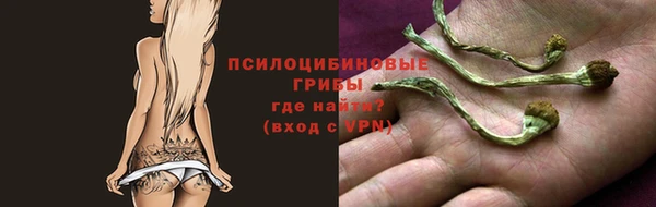каннабис Верея