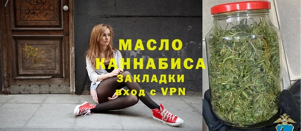 крисы Верхний Тагил