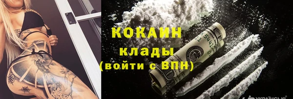 крисы Верхний Тагил