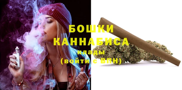 крисы Верхний Тагил
