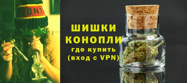 крисы Верхний Тагил